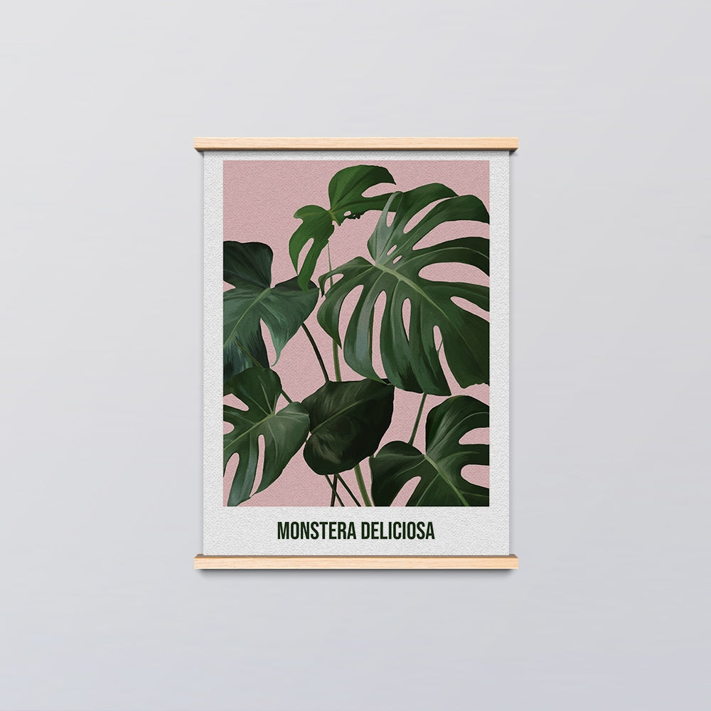 Monstera Deliciosa A3 Print