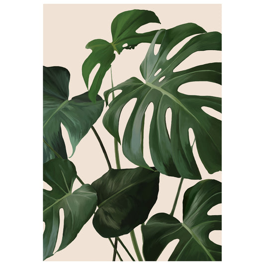 Monstera Deliciosa A4 Print