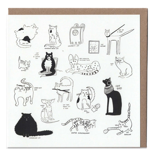 Cat Lover